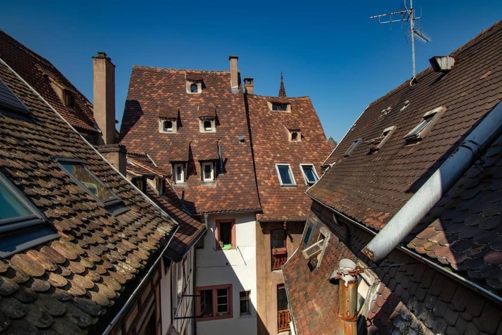 L'Or - Typical Alsacian Apartment In Strasbourg Luaran gambar