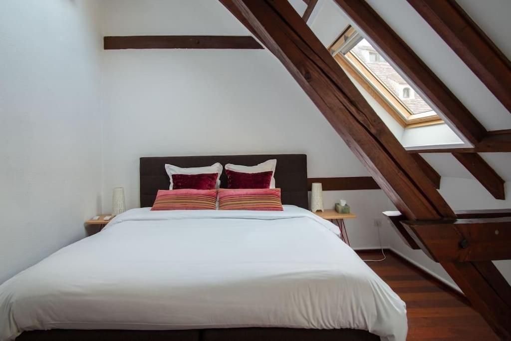 L'Or - Typical Alsacian Apartment In Strasbourg Luaran gambar